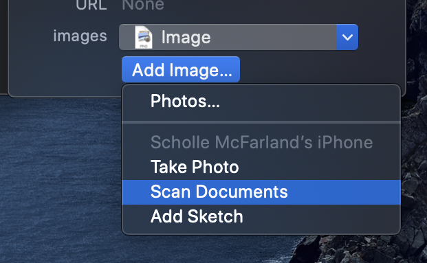 Figure 73: To take and then import an image directly from your iPhone or iPad, choose either Take Photo or Scan Documents in the Add Image pop-up menu.