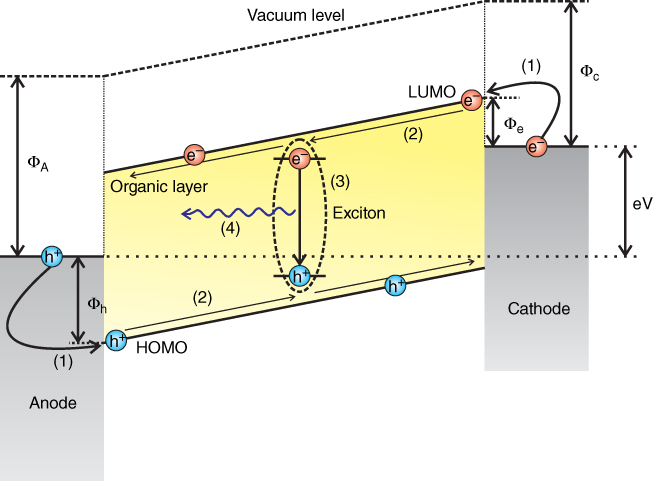 Schematic illustration of a single-layer OLED stack. Light emission occurs following four subsequent steps: (1) charge carrier injection, (2) charge carrier transport, (3) charge carrier recombination, generating an exciton and (4) radiative decay of the exciton creating a photon.