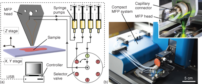Scheme for Microfluidic probe components and implementation.