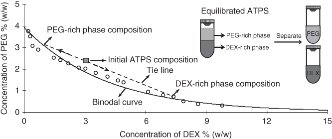 Illustration of phase diagram for ATPS made with PEG polymers.