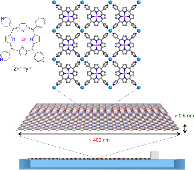Schematic illustration of the assembly of the ZnTPyP-Cu nanosheets (NAFS-21) at the air/liquid interface.