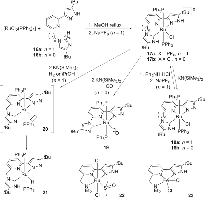 Schematic illustrations of the synthesis and reactivities of unsymmetric, multiproton-responsive pincer-type complexes.