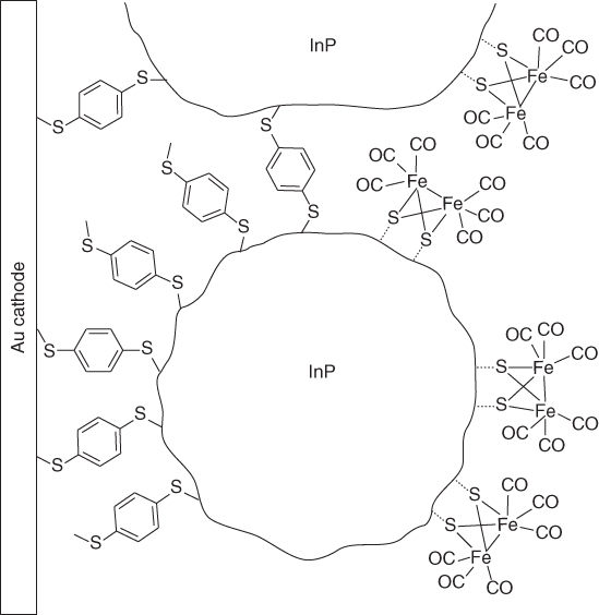 Schematic structure of the InP-based electrode with physisorbed diiron catalyst.