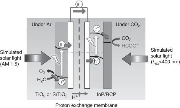 Schematic presentation of the photoelectrochemical cell for tandem CO2 reduction and water oxidation comprising a RCP/InP-Zn photocathode and metal oxide photoanodes.