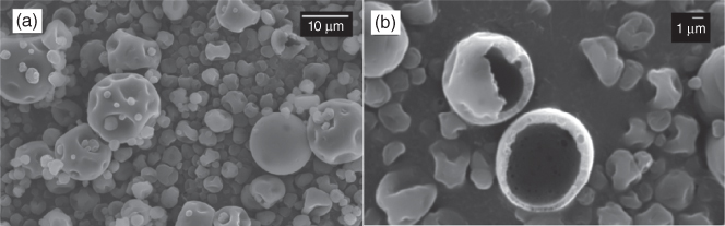 Images of encapsulated crosslinker for powder coatings. (a) Overview showing the capsules obtained; (b) detail showing two broken capsules illustrating their core-shell nature.