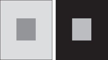 Schematic illustration of the contrast effect: the central part in a left frame is erroneously seen as darker than the central part in the right frame.