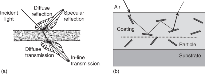 Illustrations of reflection and transmission. (a) Specular and diffuse reflection and transmission. (b) Schematic of multiple reflection on particles dispersed in the coating. The angles of incidence and reflection are not necessarily the same as the particles may be rough. The dotted line indicates the maximum penetration depth from below which light no longer escapes.