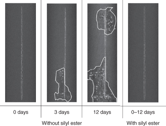 Illustrations of delamination (white irregular lines) and pitting (white-grey dots) around a scribe (vertical line) of a coated AA7050 panel exposed to 0.05M NaCl in distilled water. 