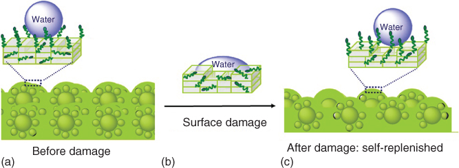 Schematic illustration of the self-replenishing of surface-structured superhydrophobic coatings, buildup with silica nanoparticles of two different sizes.