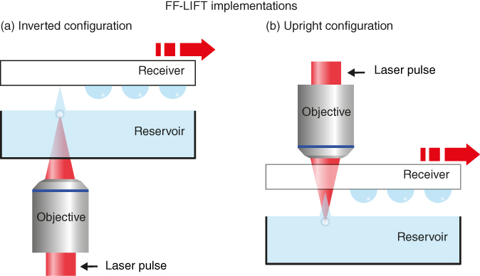 Scheme for two different implementations of FF-LIFT: Inverted or forward configuration.; Scheme for two different implementations of FF-LIFT: upright or backward configuration.