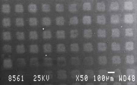 SEM image of picture of the printed features of lambda phage DNA on glass substrate by LIFT.