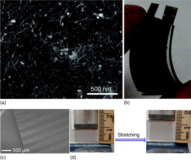 (a) SEM image of the SWCNT network. (b) Photograph of a SWCNT network-based flexible supercapacitor.; (c) SEM images of the wrinkled graphene film. (d) Photographs of the wrinkled graphene-based flexible supercapacitor device at different stretching states.