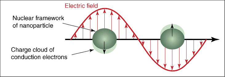 Figure depicting the schematic diagram of local SPR excited by spherical particles, where nuclear framework of nanoparticle and charge cloud of conduction electrons are labeled.