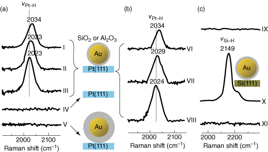 Figure depicting Raman detection of surface adsorbed on gold core–shell nanoparticles coated with Pt and Si.