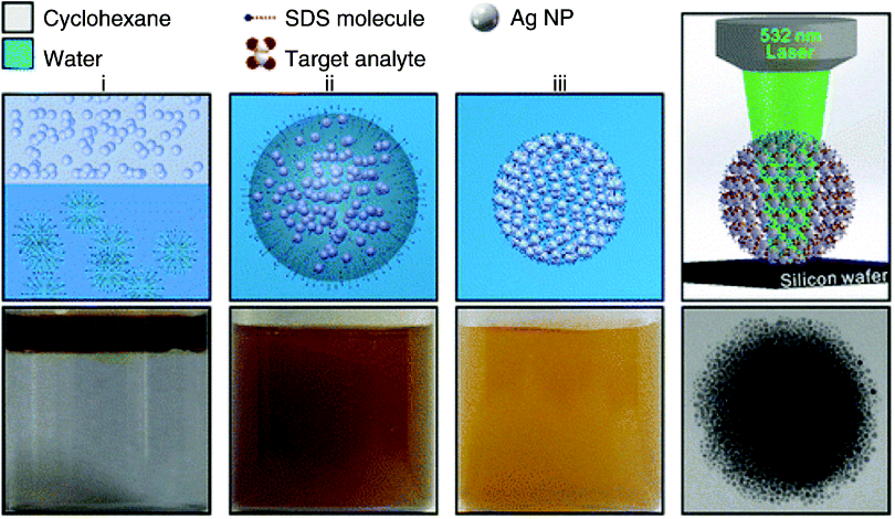 Figure depicting schematic (top) and the corresponding optical images (bottom) of the self-assembly of Ag NPs into spherical Ag colloidal superstructures.