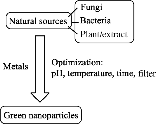 Scheme depicting synthetic methodologies involved in nanoparticle synthesis.