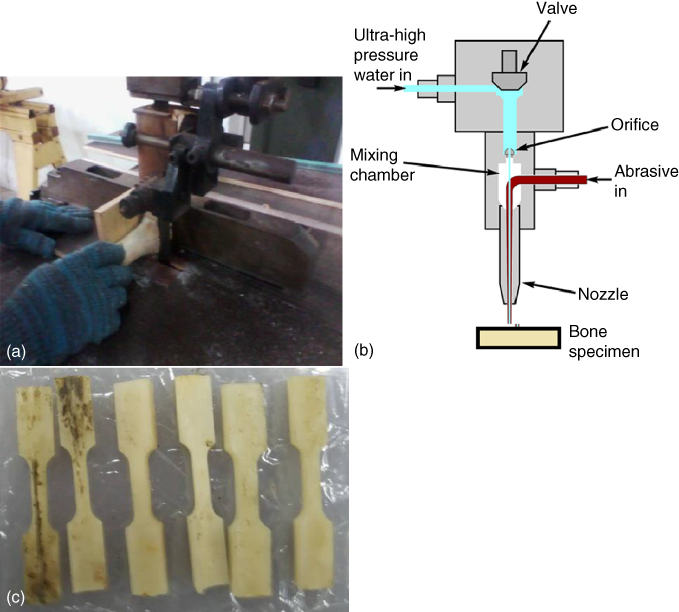 Photographs depicting the cutting process of bones using (top left) manual band saw; (top right) abrasive water jet; and (bottom) dog bone-shaped specimen.
