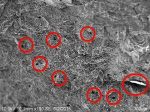 X-ray image depicting the porosity of a goat bone specimen (G3) at 85 °C. The goat bone has more of small size porosity.