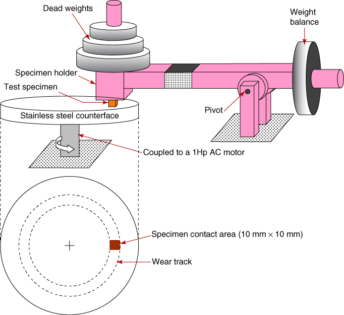 Schematic of the pin-on-disc tribo test machine. The test specimen is fitted into a vertical specimen holder and a dead weight is added on it. A long beam has the specimen holder at the left end and weight balance at the right end; it is pivoted on a machine structure between the two ends.  