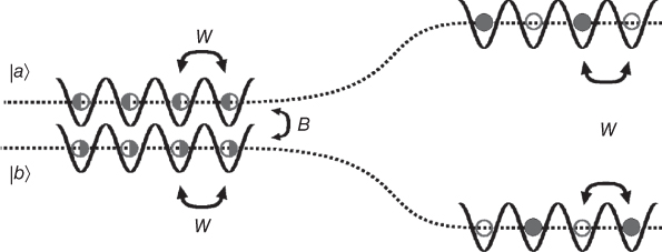 Scheme for Creation of robust multiparticle entangled states in 1D beam splitter setups.