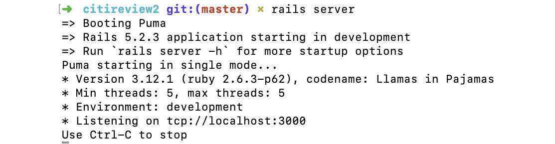 Figure 11.7: Rails server initilization
