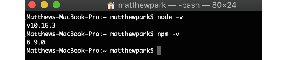 Figure 10.3: Checking that Node.js and npm are installed
