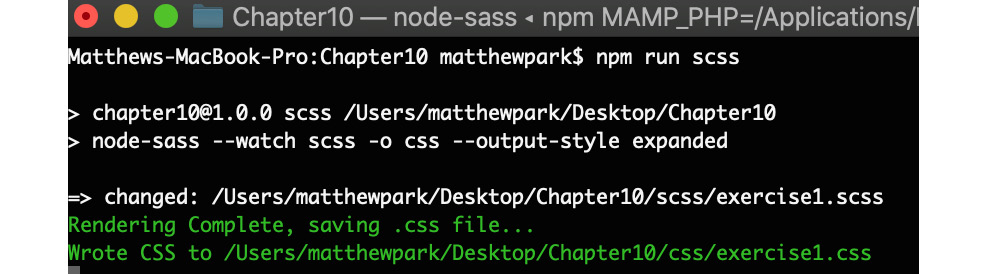 Figure 10.8: Running the npm run sass command and then saving the scss file output
