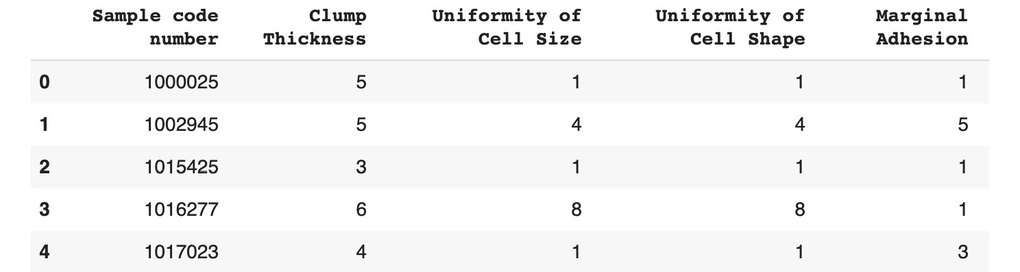 Figure 11.8: The first five rows of the Breast Cancer dataset
