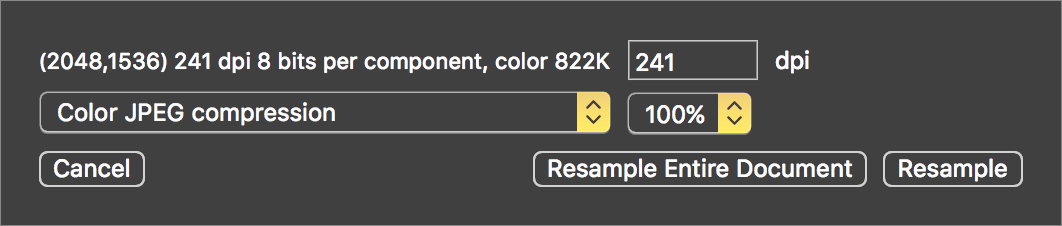 Figure 72: Reduce the resolution and color depth of an image with the Resample controls.