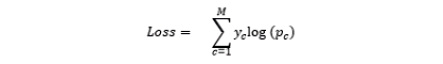 Figure 6.10: Cross entropy loss formula
