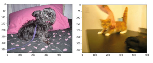 Figure 6.32: First images of the dog and cat class
