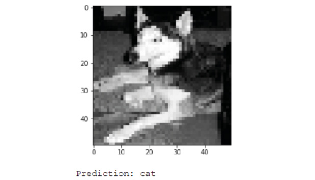 Figure 6.33: Incorrect prediction of a dog by the regularized CNN model
