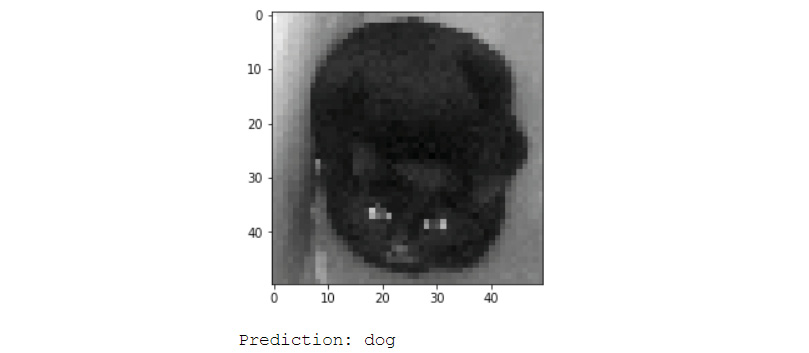 Figure 6.38: Incorrect prediction of a cat by the data augmentation CNN model 

