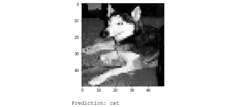 Figure 6.41: Incorrect prediction of a dog by the regularized CNN model
