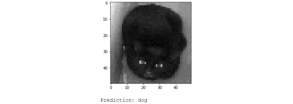 Figure 6.42: Incorrect prediction of a cat by the data augmentation CNN model 

