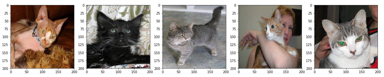 Figure 8.16: Sample images from the loaded dataset
