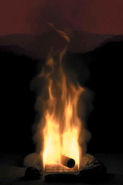 A photograph of a campfire.