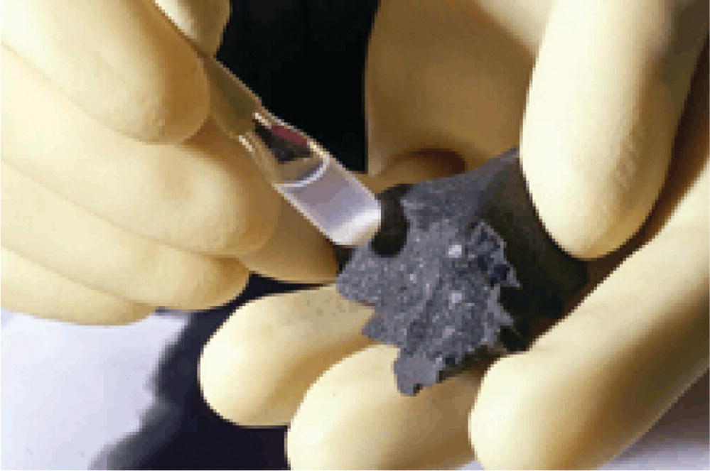 Photo of a vial containing liquid with white powder at the bottom. The vial is held beside a piece of carbonaceous Murchison meteorite.