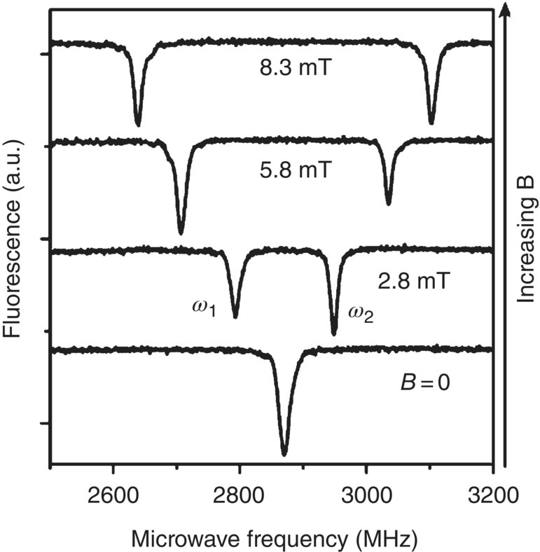 Graph displaying ODMR spectra of a single NV− center in bulk diamond with 4 curves representing 8.3 mT, 5.8 mT, 2.8 mT, and B = 0 (top–bottom). The lowest points for 2.8 mT are labeled ω1 and ω2.