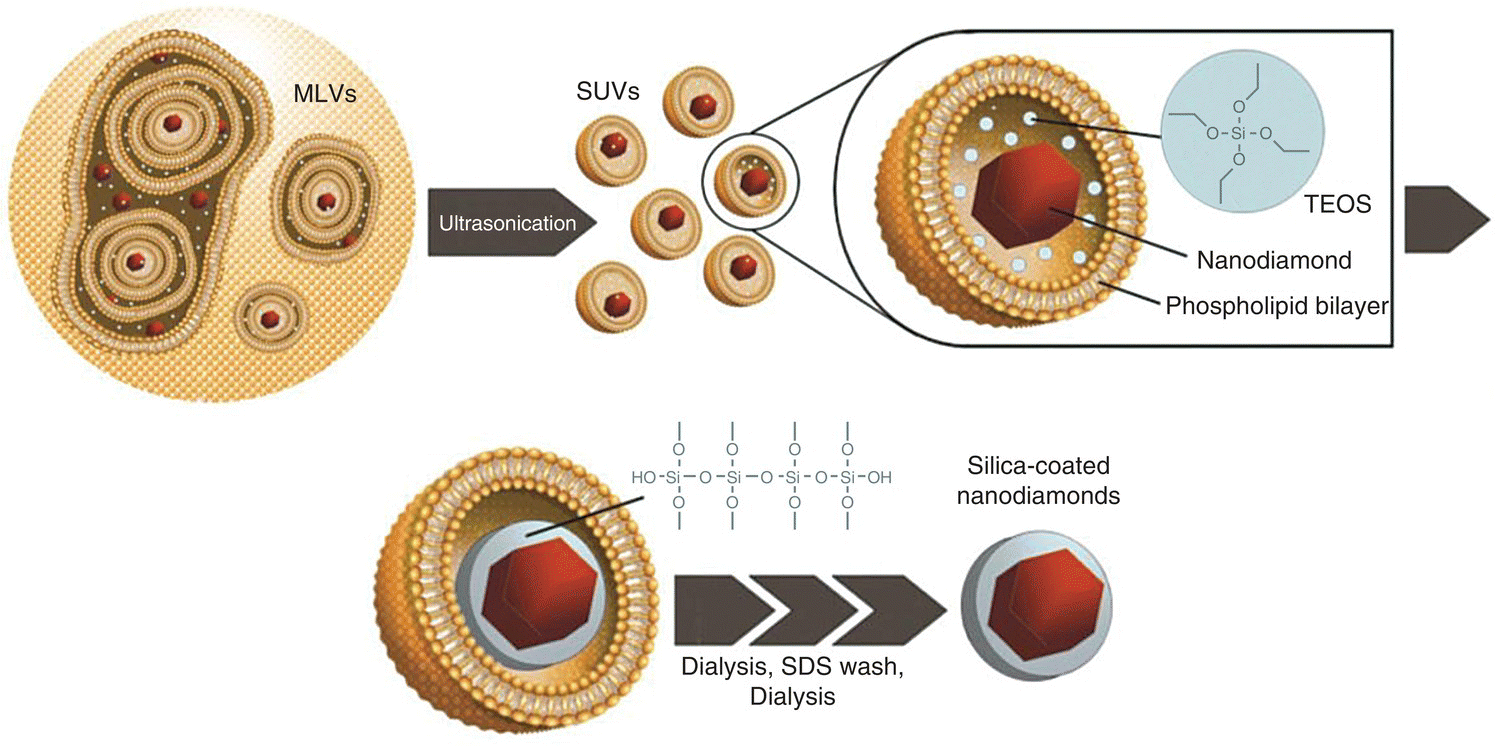 Illustration of the synthesis of core‐shell ND‐silica particles, with ultrasonication of MLVs to SUVs. Inset of an SUV displays TEOS, nanodiamond, and phospholipid bilayer.