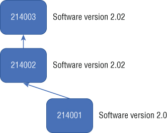 Schematic illustration of an agreed fork to a new software version.