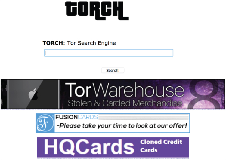 Snapshot illustration of the Torch search engine.