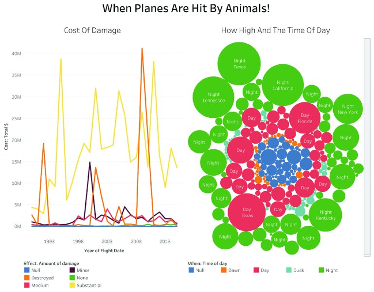 Chart shows census reporting when planes are hit by animals cost of damage and how high and time of day with plots for null, minor, destroyed, none, medium, and substantial and time of day is null, dawn, day, dusk, and night.