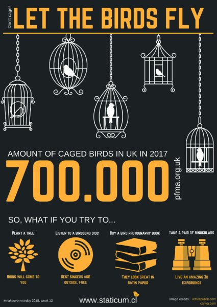 Image shows infographic which is titled let birds fly which shows icons of birds in cages dropping from title with large text that says 700.000 and four icons below that. Icons are of tree, vinyl, books and binoculars.