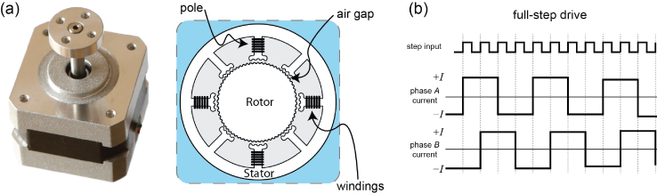 Picture of (left) the external and internal structures of a stepper motor and (right) illustrations of full- and half-step drive signals.