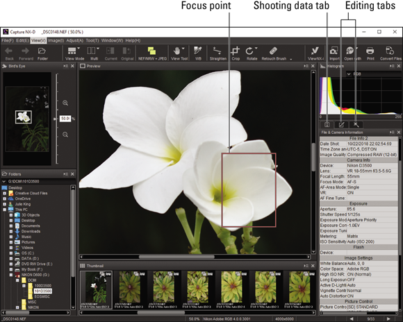 Screenshot of a View window displaying the Focus point, where Capture NX-D offers a more advanced assortment of photo editing tools.