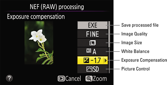 Illustration of the NEF (RAW) processing setting displaying Raw conversion options on the first page of the menu screen.