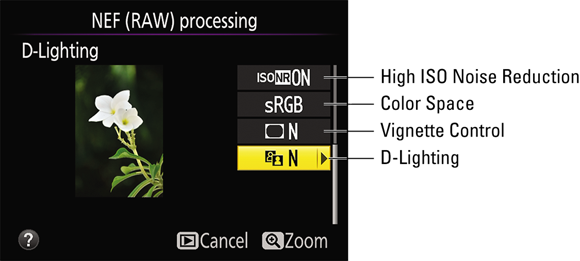 Illustration of the NEF (RAW) processing setting, indicating to press the Multi Selector down to scroll to the second page of conversion settings. 