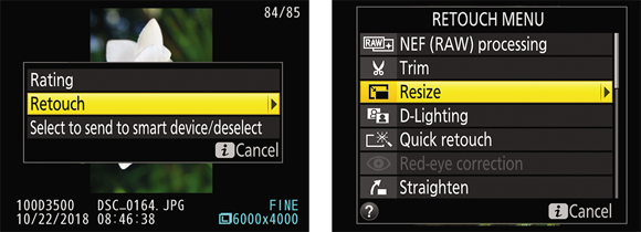 Illustration of the Retouch option displayed in the Retouch Menu setting to create a low-resolution version of a picture.