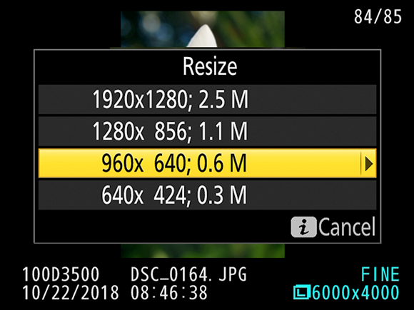 Illustration of the Resize setting screen to select one of the listed options to set the size for a low-resolution copy. 
